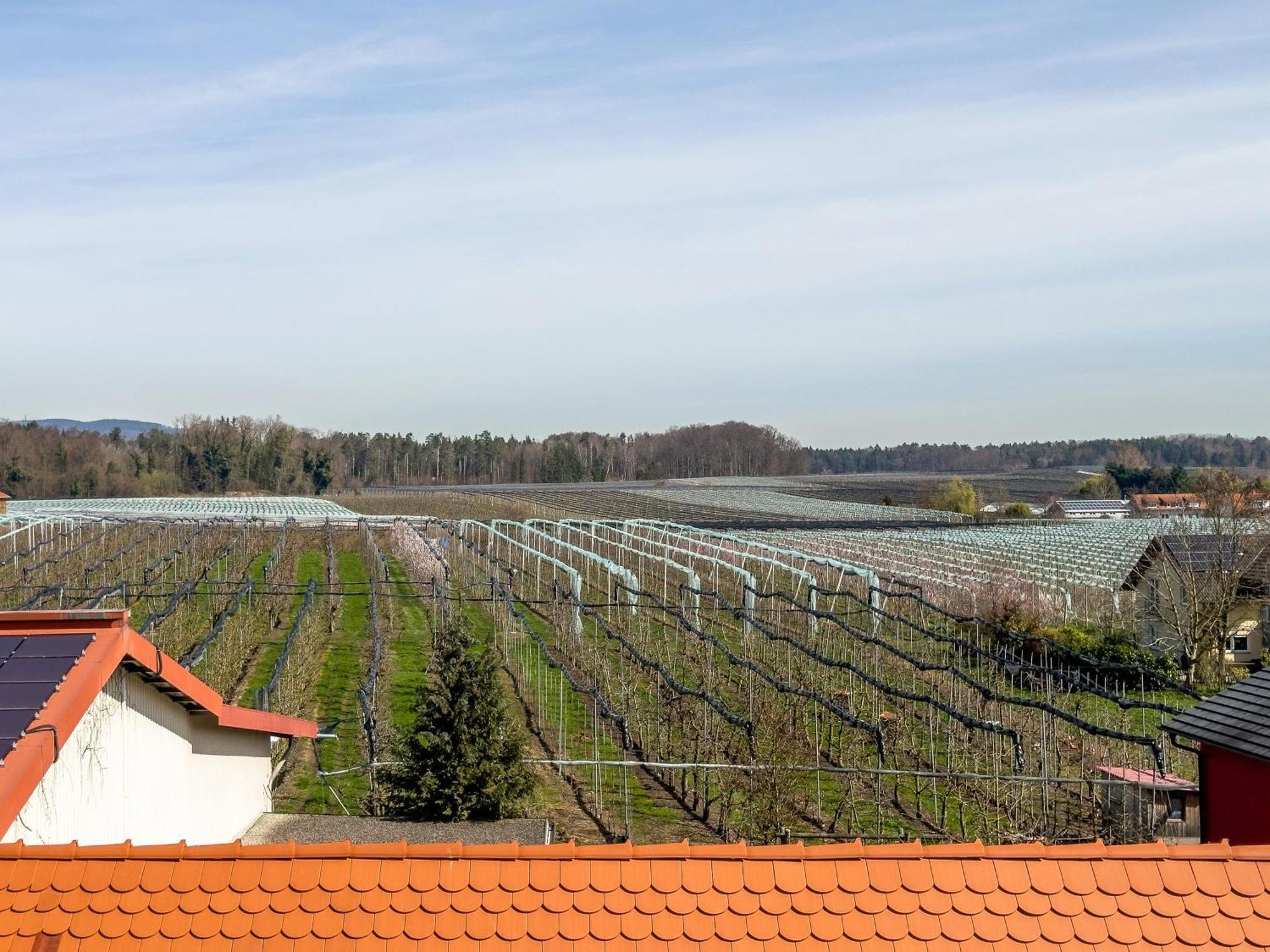 Obst- Ferienhof Ragg Immenstaad am Bodensee Exterior foto